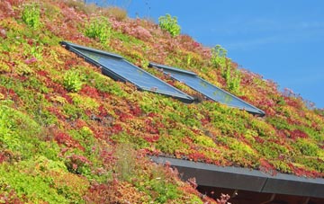 Cottonworth living roof systems